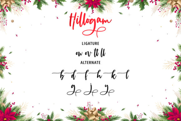 Hillogam Personal Use Only