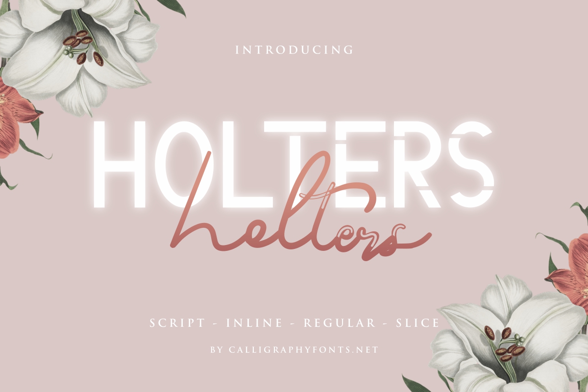 Holters Demo Script