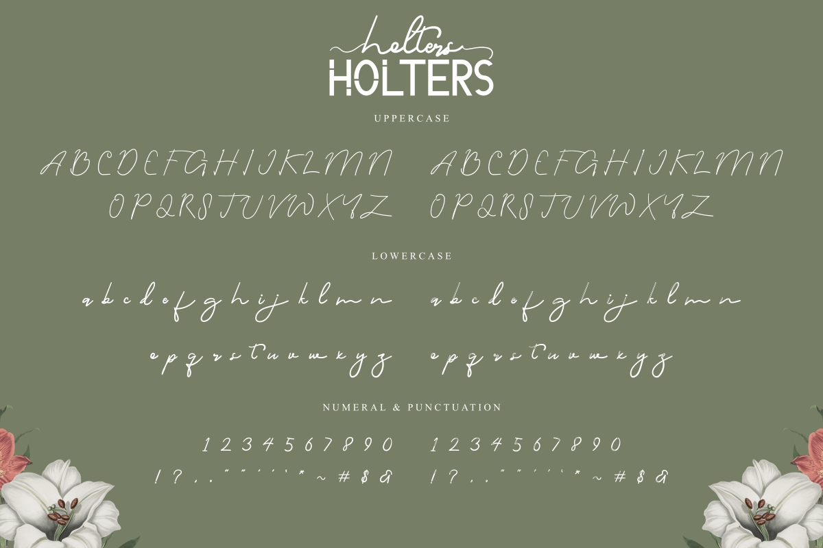Holters Demo Script