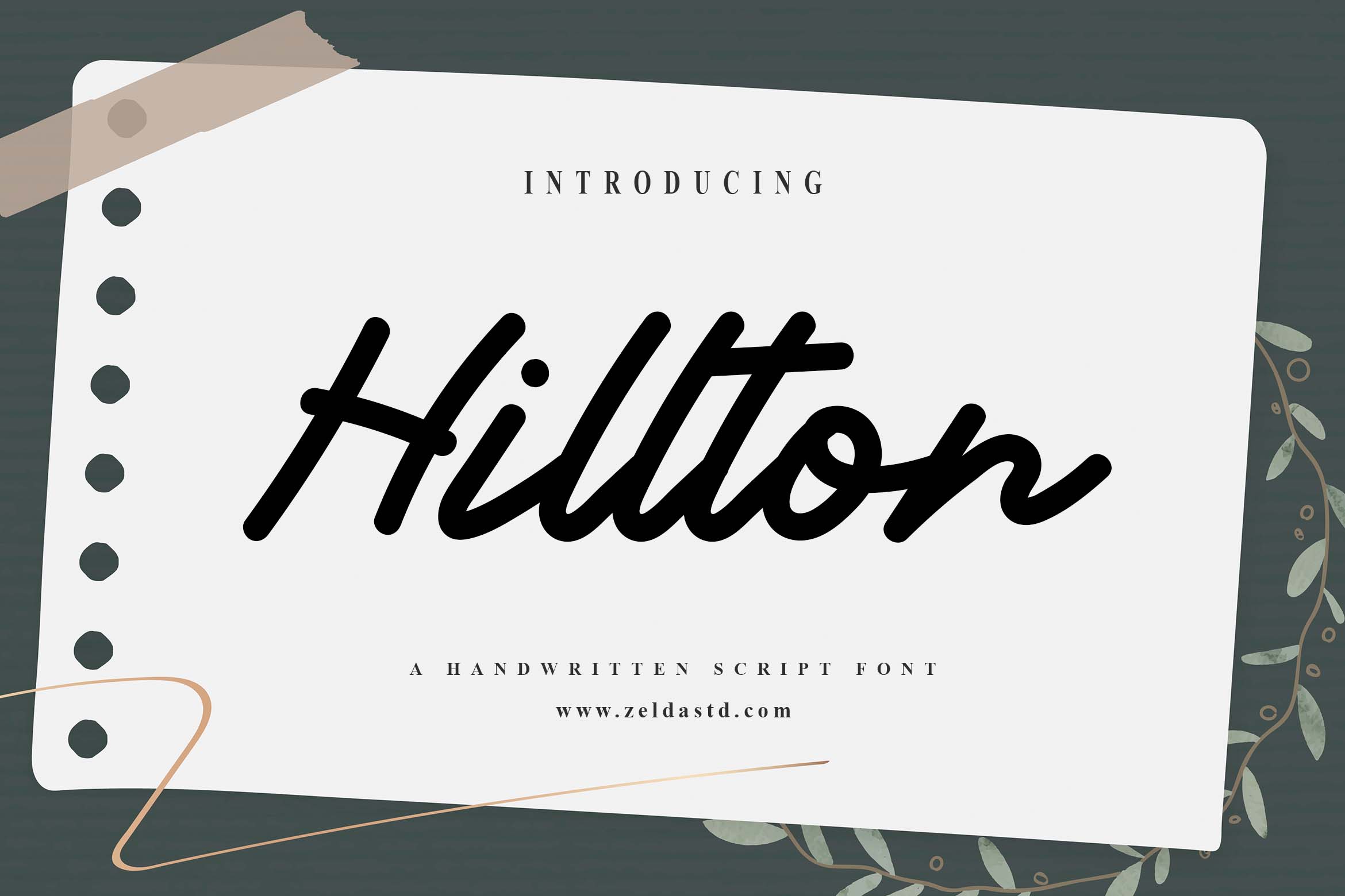 Hillton - DEMO FONT