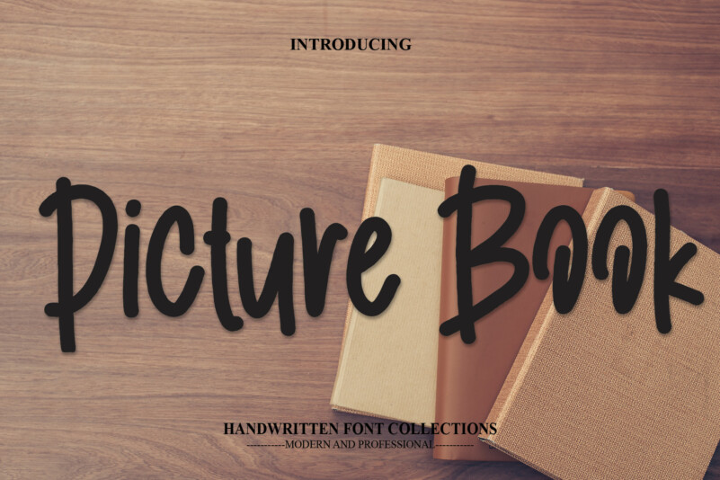 Picture Book