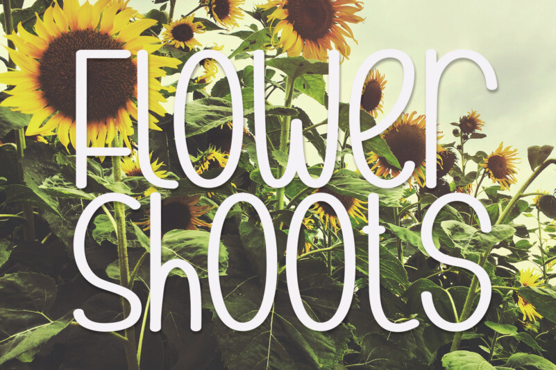 Flower Shoots