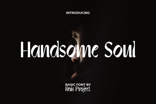 HandsomeSoulDemo