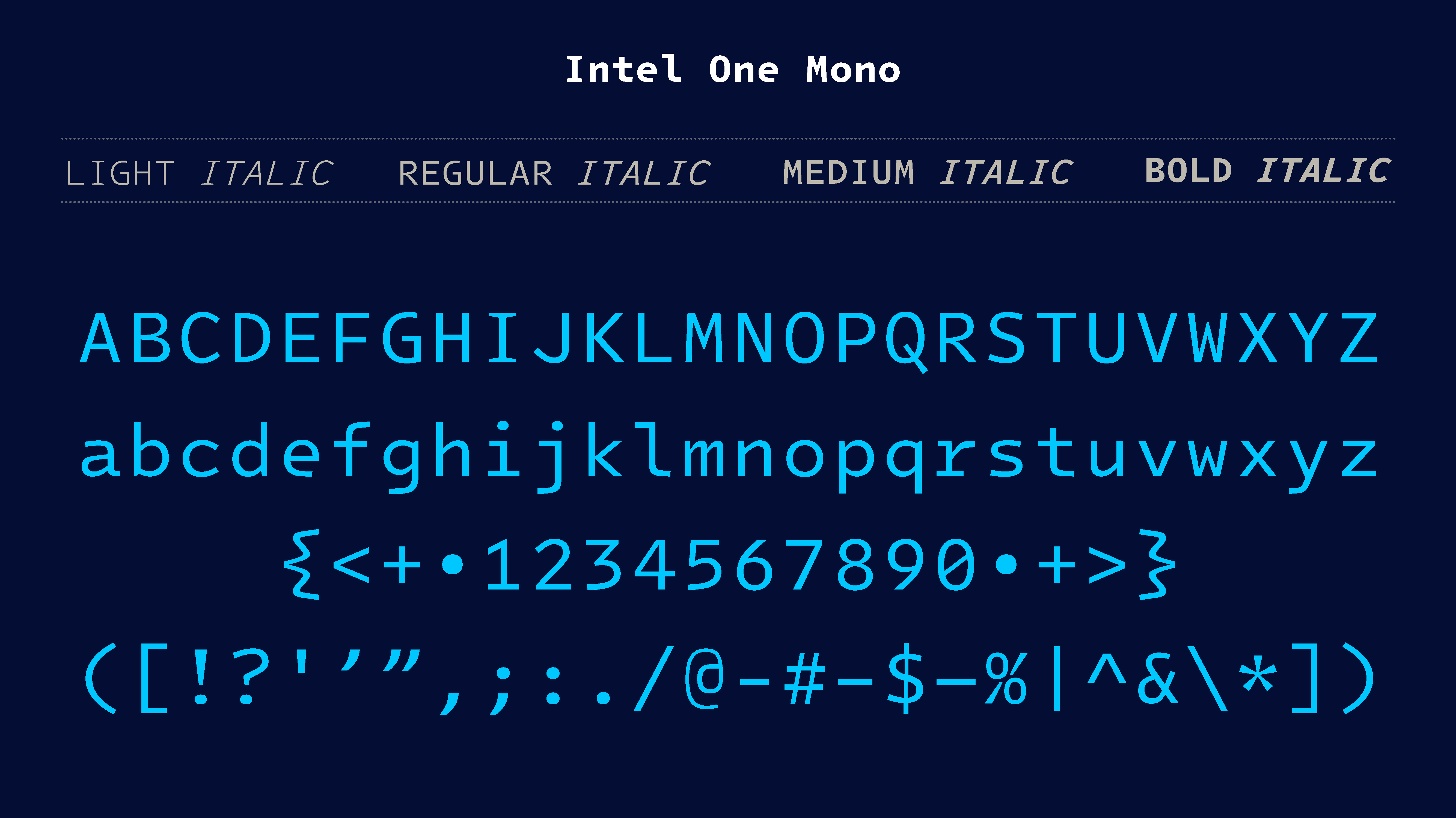 IntelOne Mono