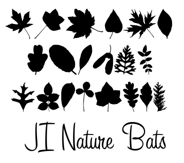 JI Nature Bats