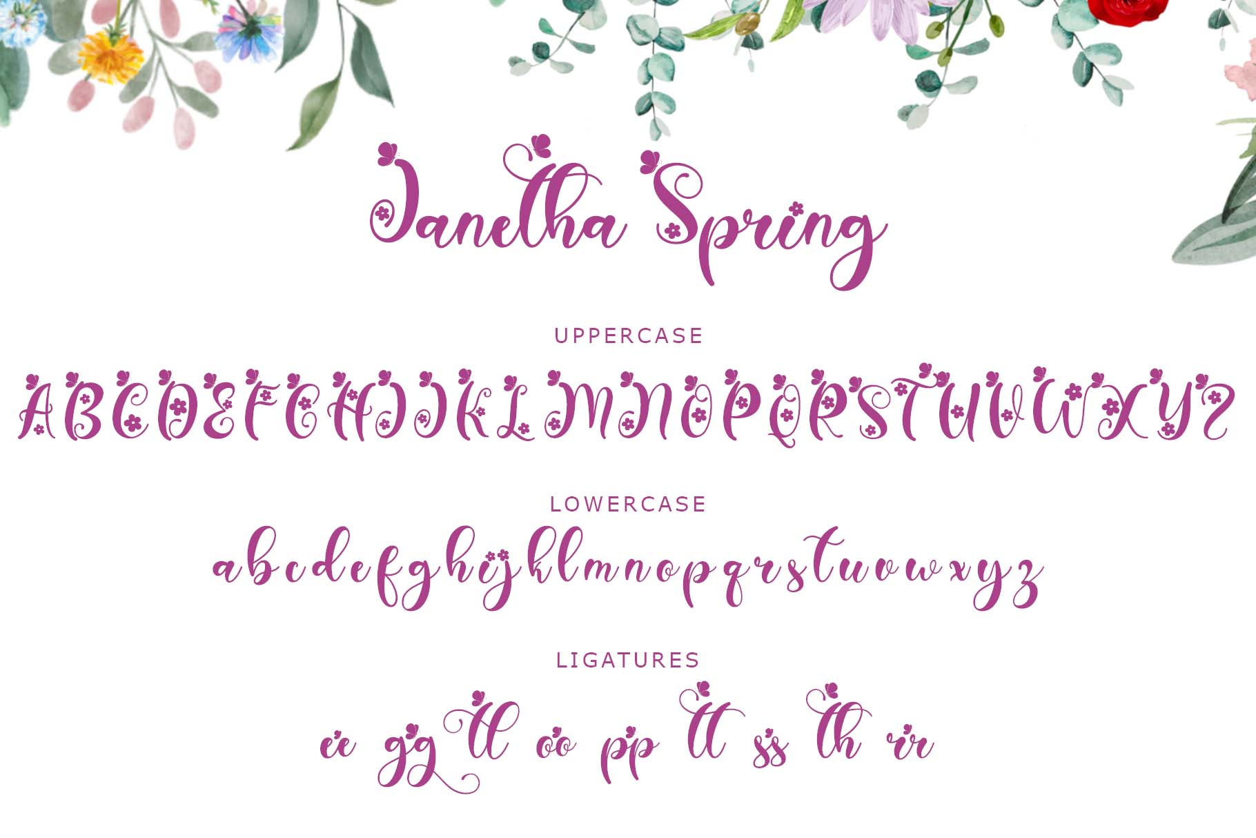Janetha Spring