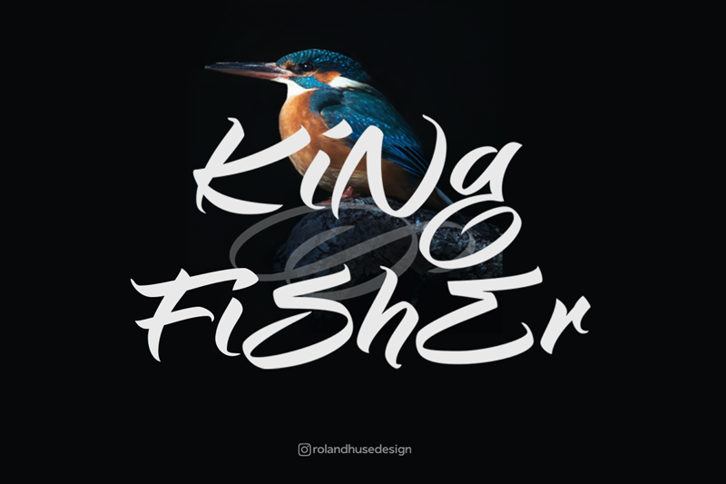Kingfisher Demo