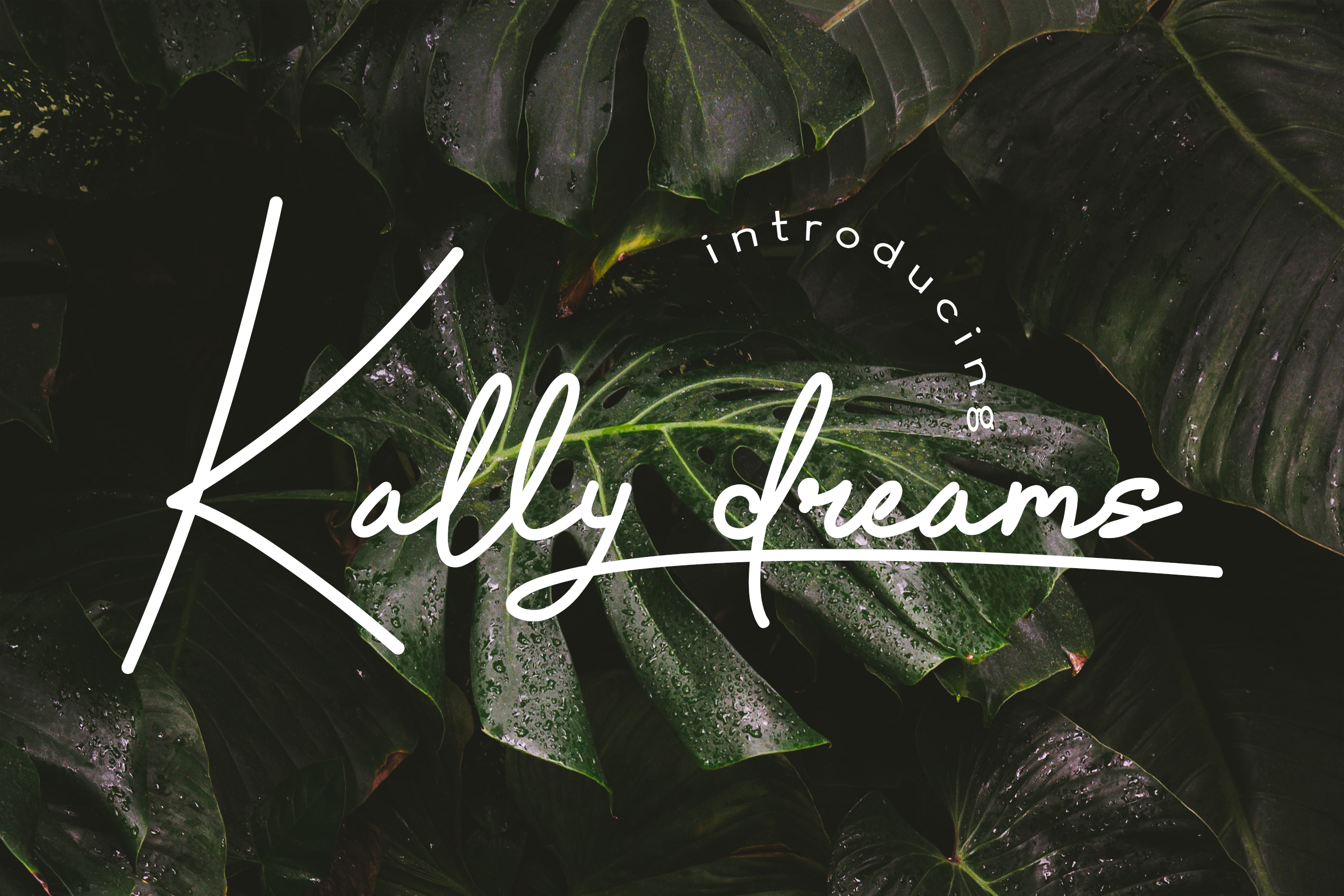 Kally dreams