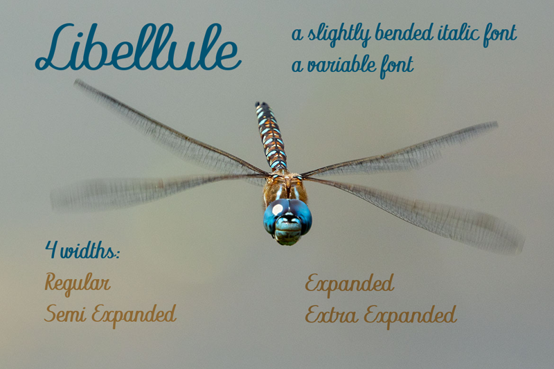Libellule Expanded
