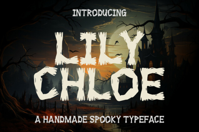 Lily Chloe Display