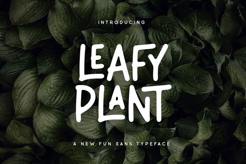 Leafy Plant Sans Free