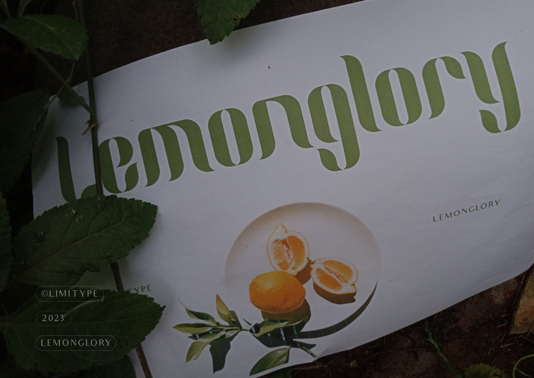 Lemonglory