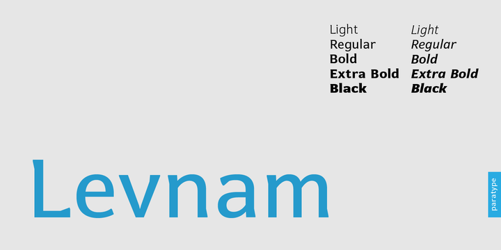 Levnam-BlackItalic