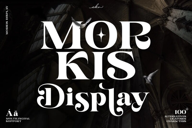 Morkis