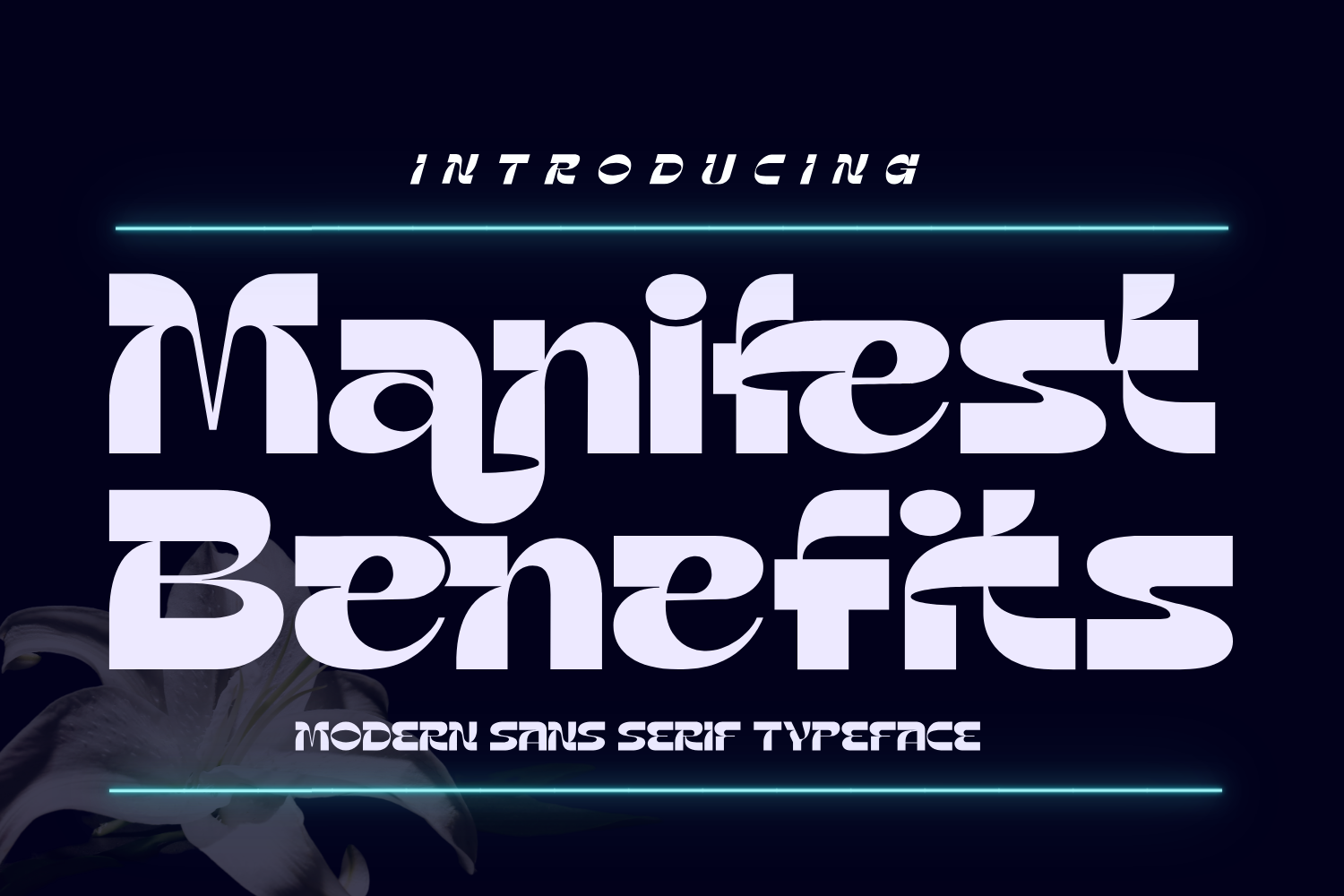 Manifest Benefits Demo