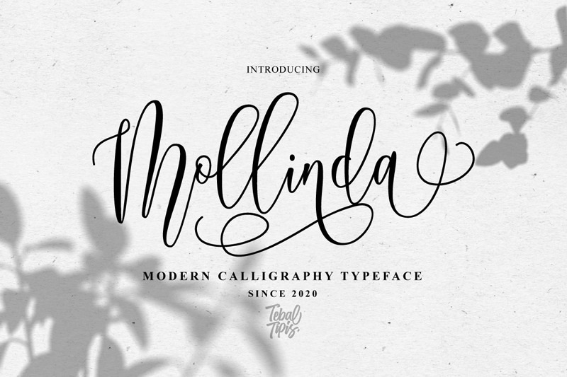 Mollinda Script Demo