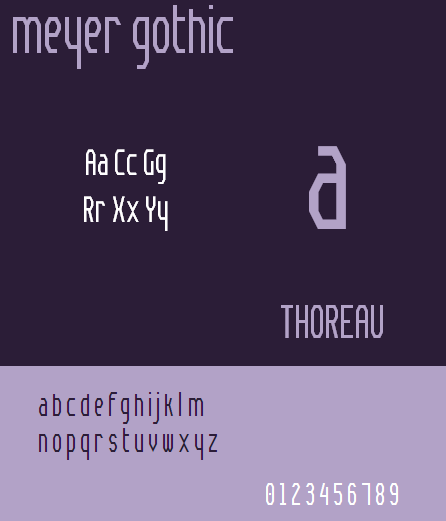 Meyer Gothic NBP