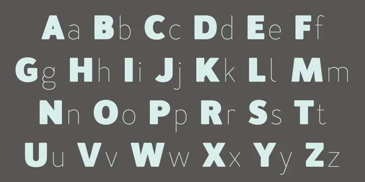 FONTSPRING DEMO - Merlo Neue Black