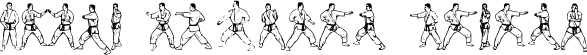 McCoy Dingbat Karate