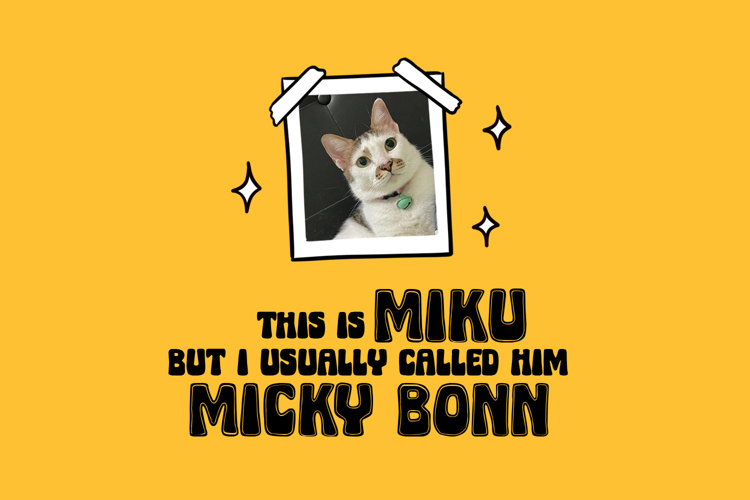 Micky Bonn Inline