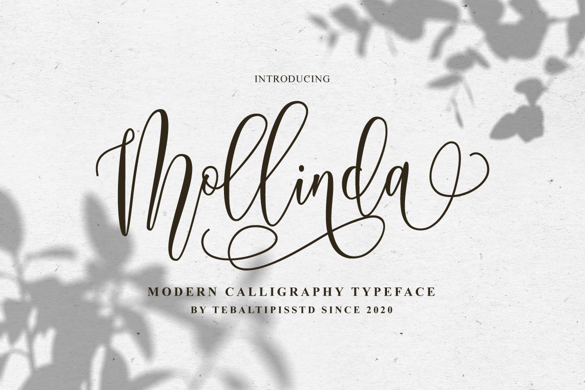 Mollinda Script