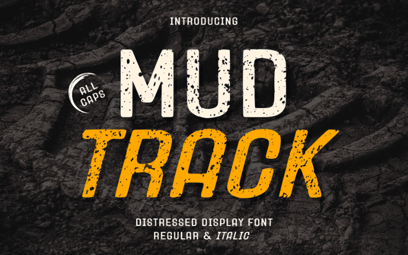 Mud Track