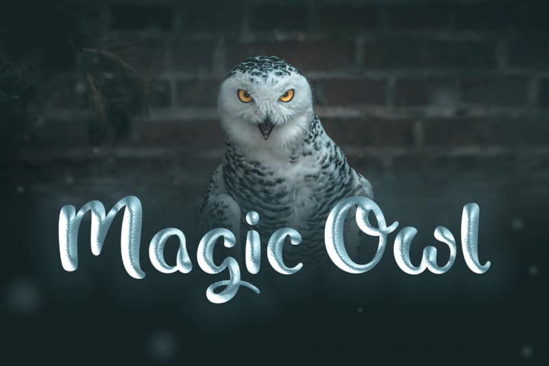 Magic Owl