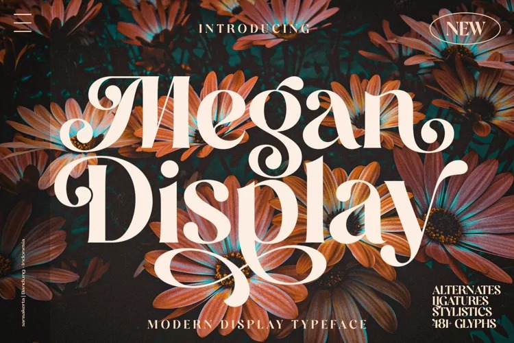 Megan Demo Font