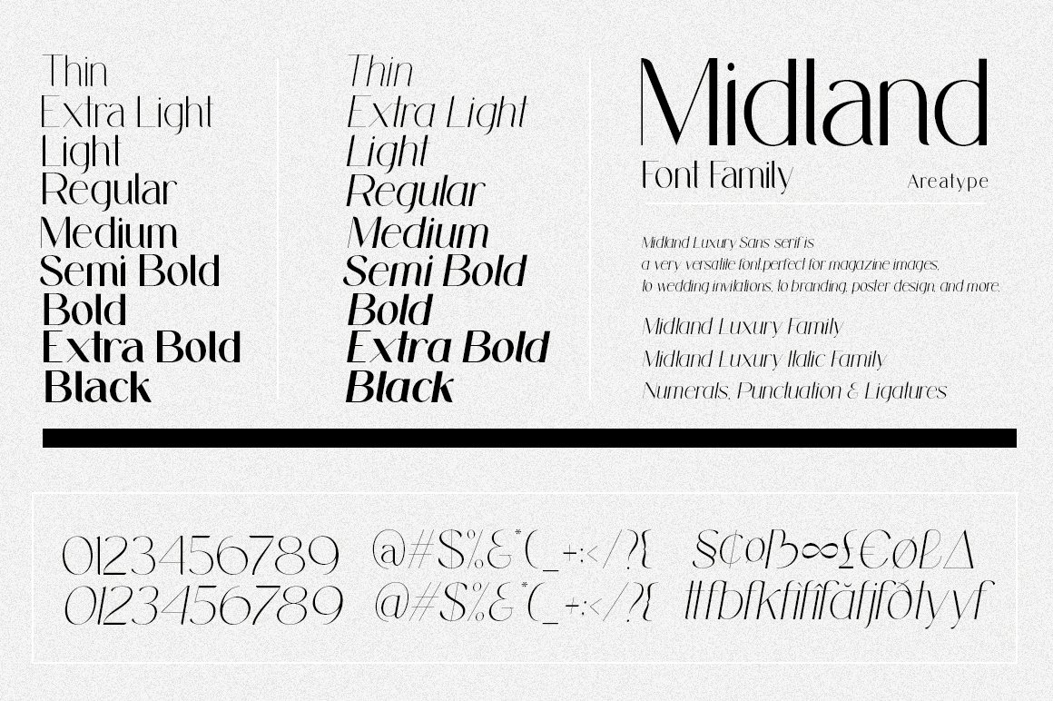 Midland Luxury Italic