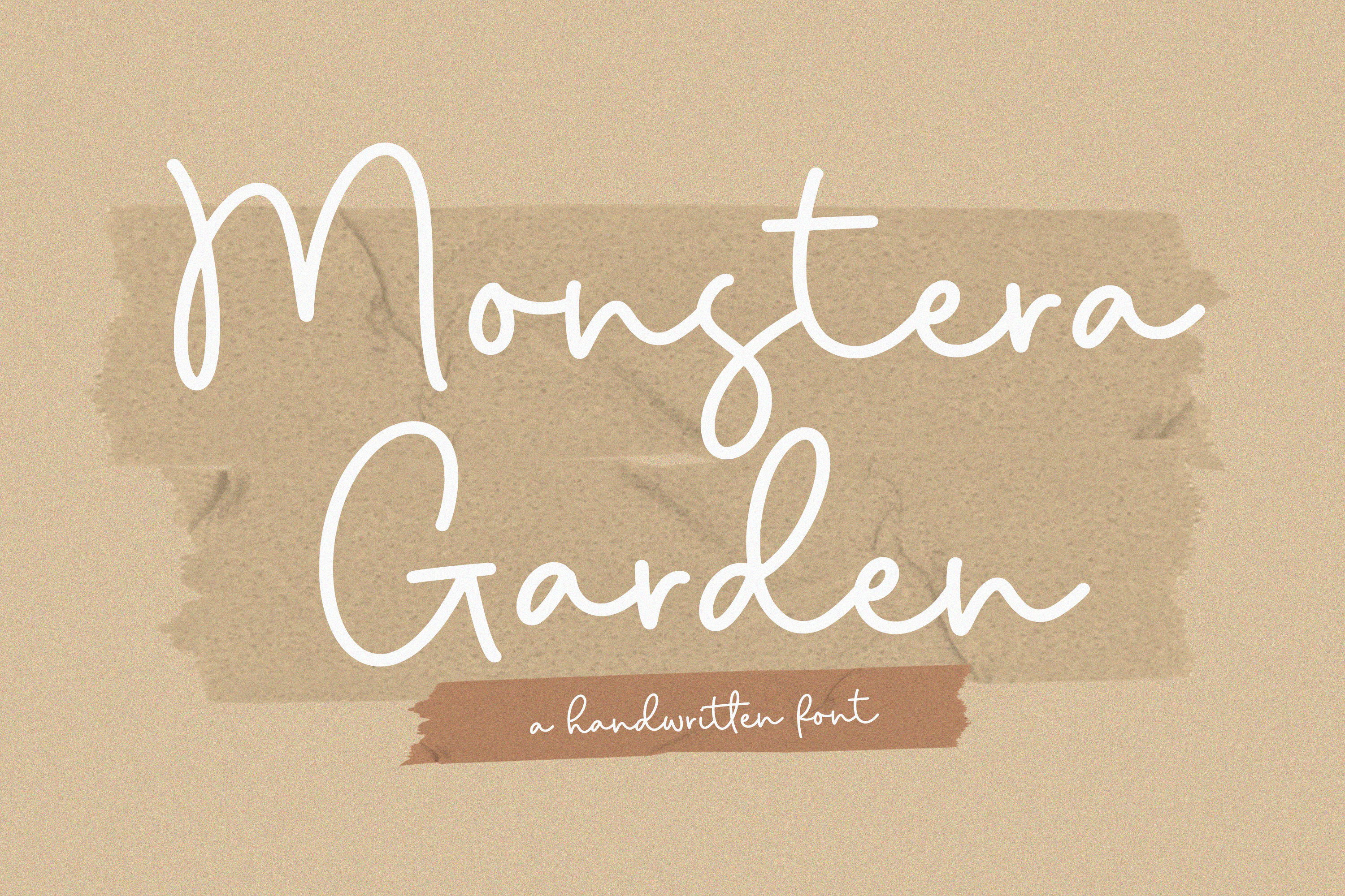 Monstera Garden