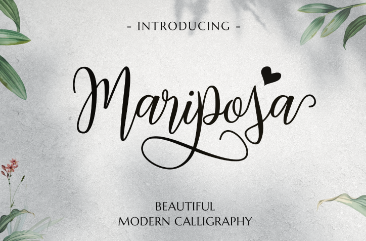 Mariposa Script Demo