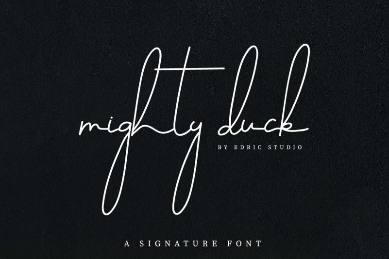 Mighty Duck Demo