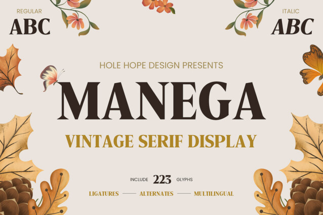 Manega Demo