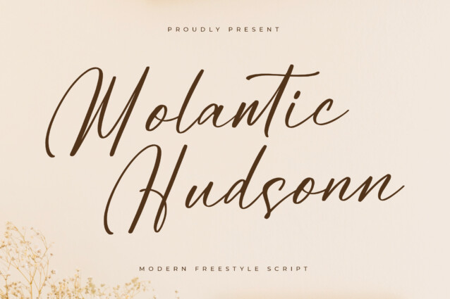 Molantic Hudsonn DEMO VERSION