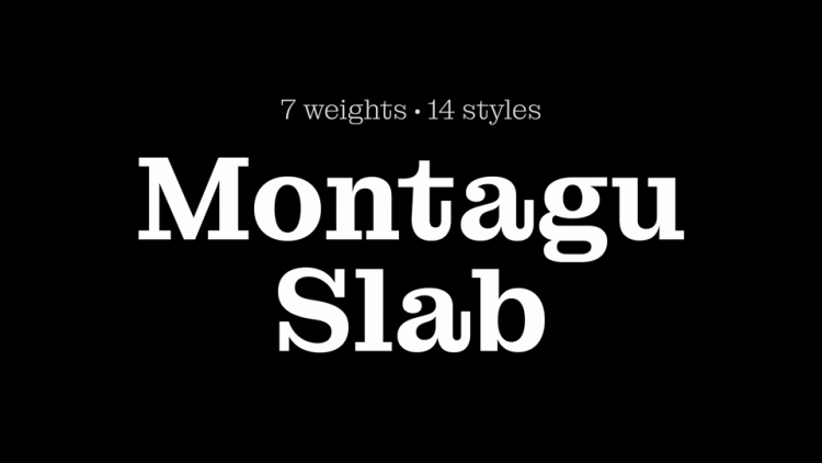Montagu Slab 16pt
