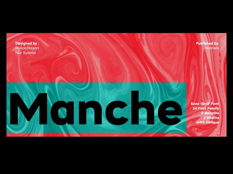 Manche DEMO Medium