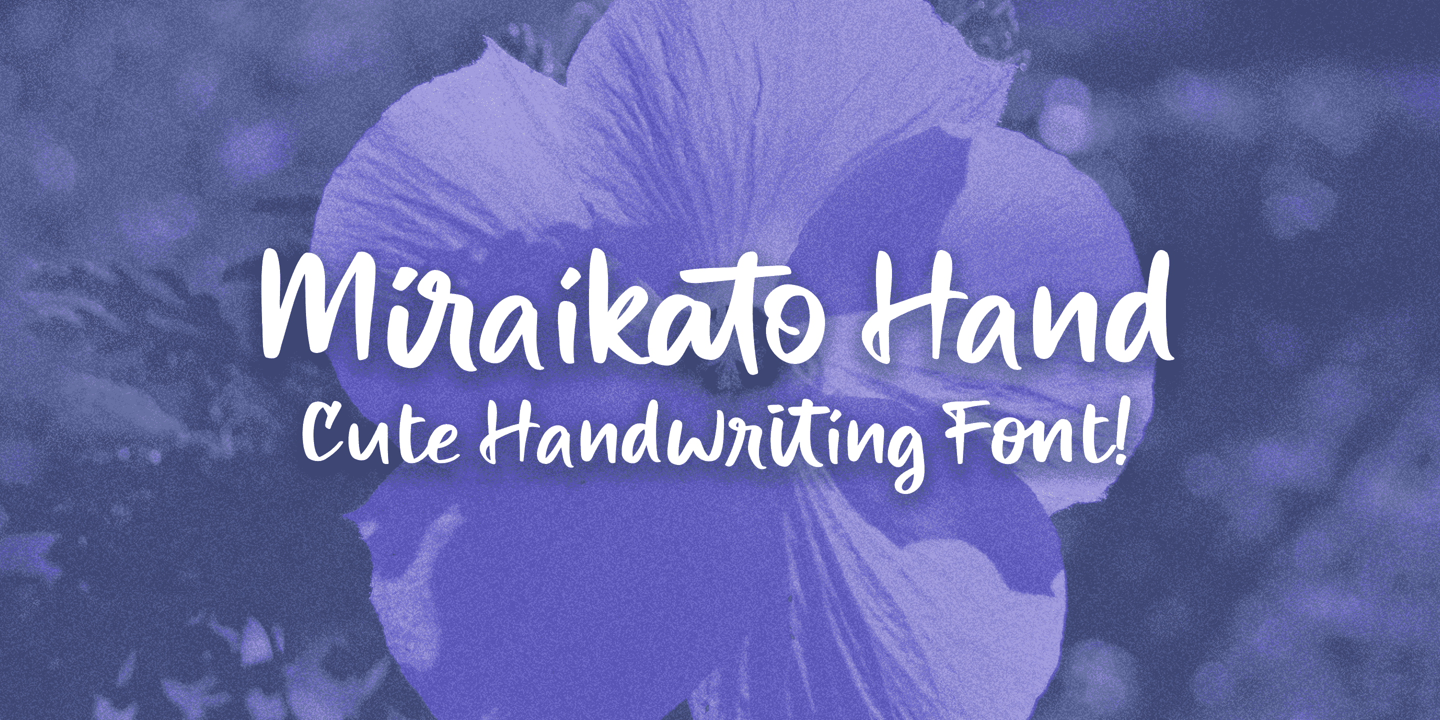 Miraikato Hand PERSONAL USE