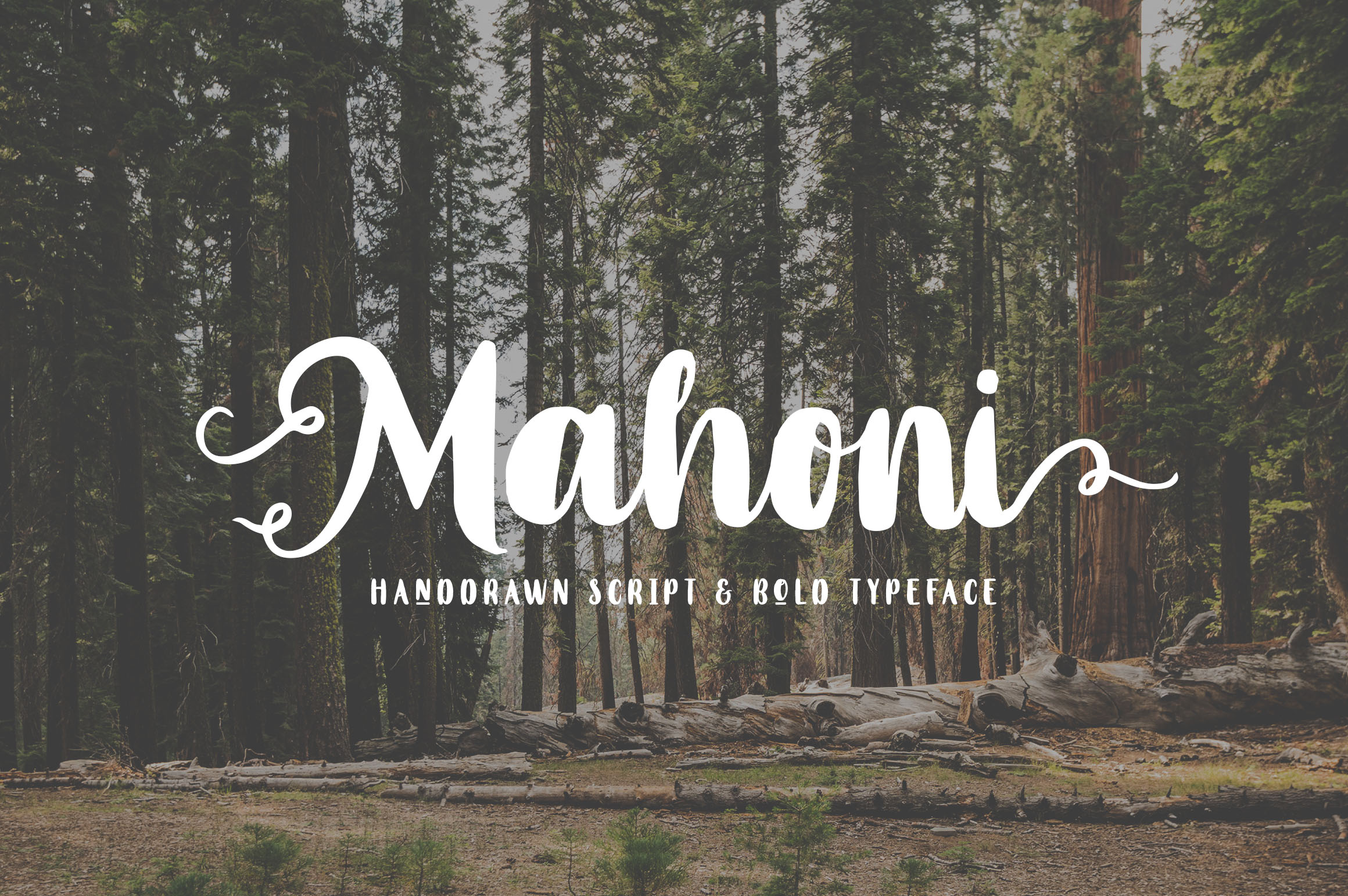 Mahoni Free Personal Use