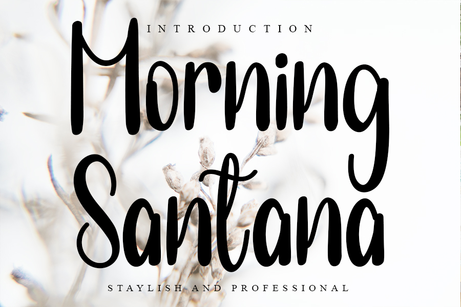 Morning Santana