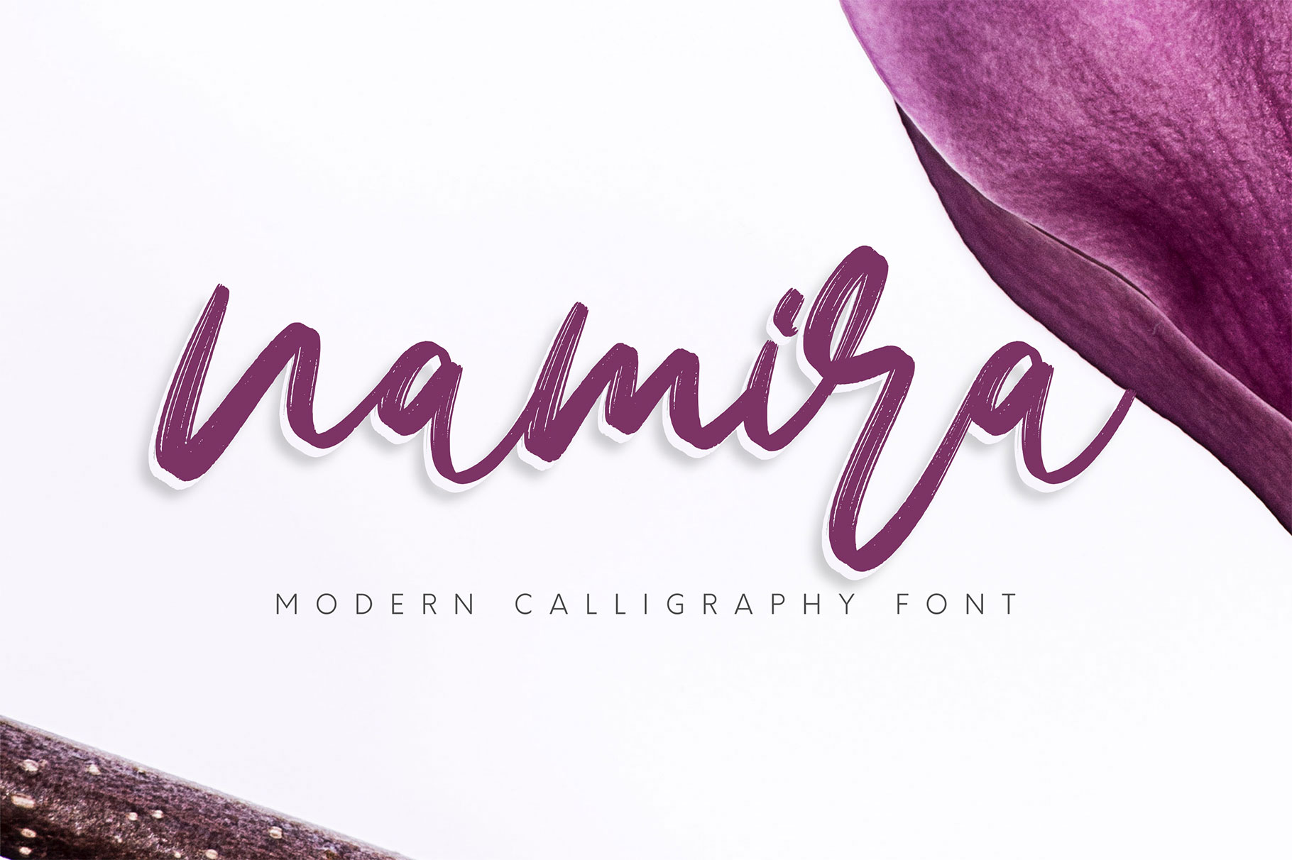 Download Free Namira Font Free For Personal Fonts Typography