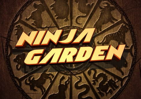 Ninja Garden Laser