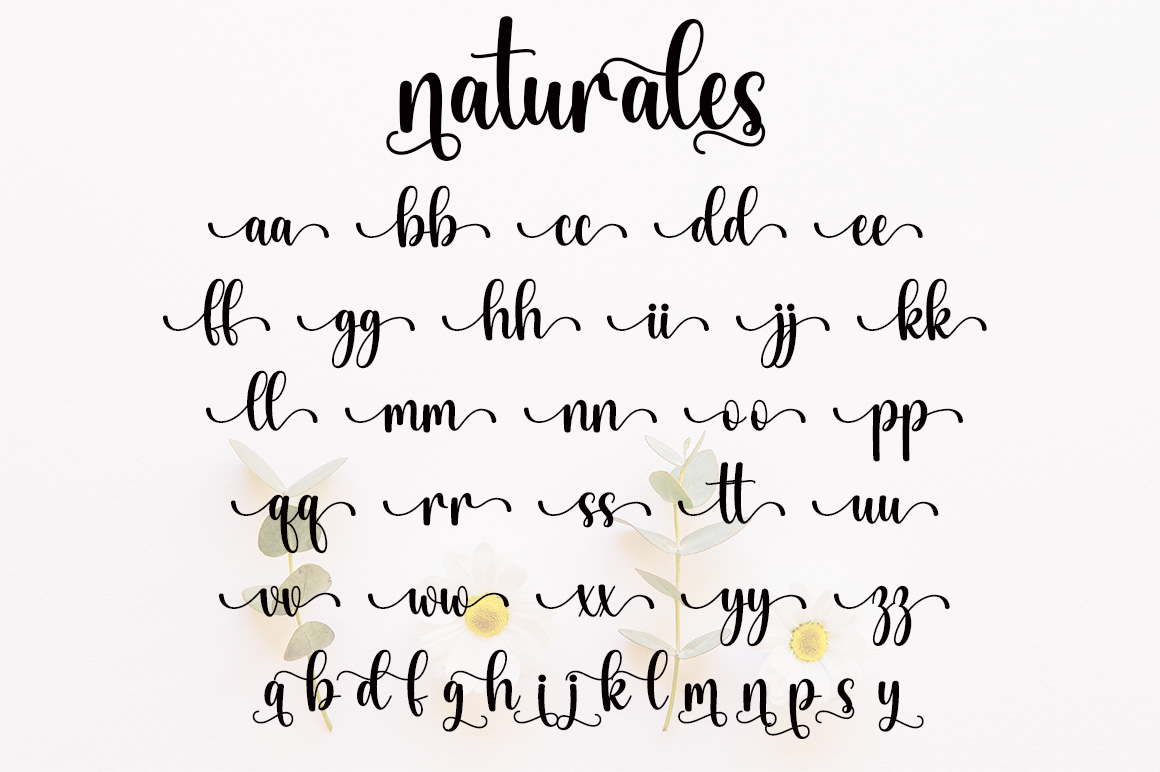 Naturales Windows Font - Free For Personal