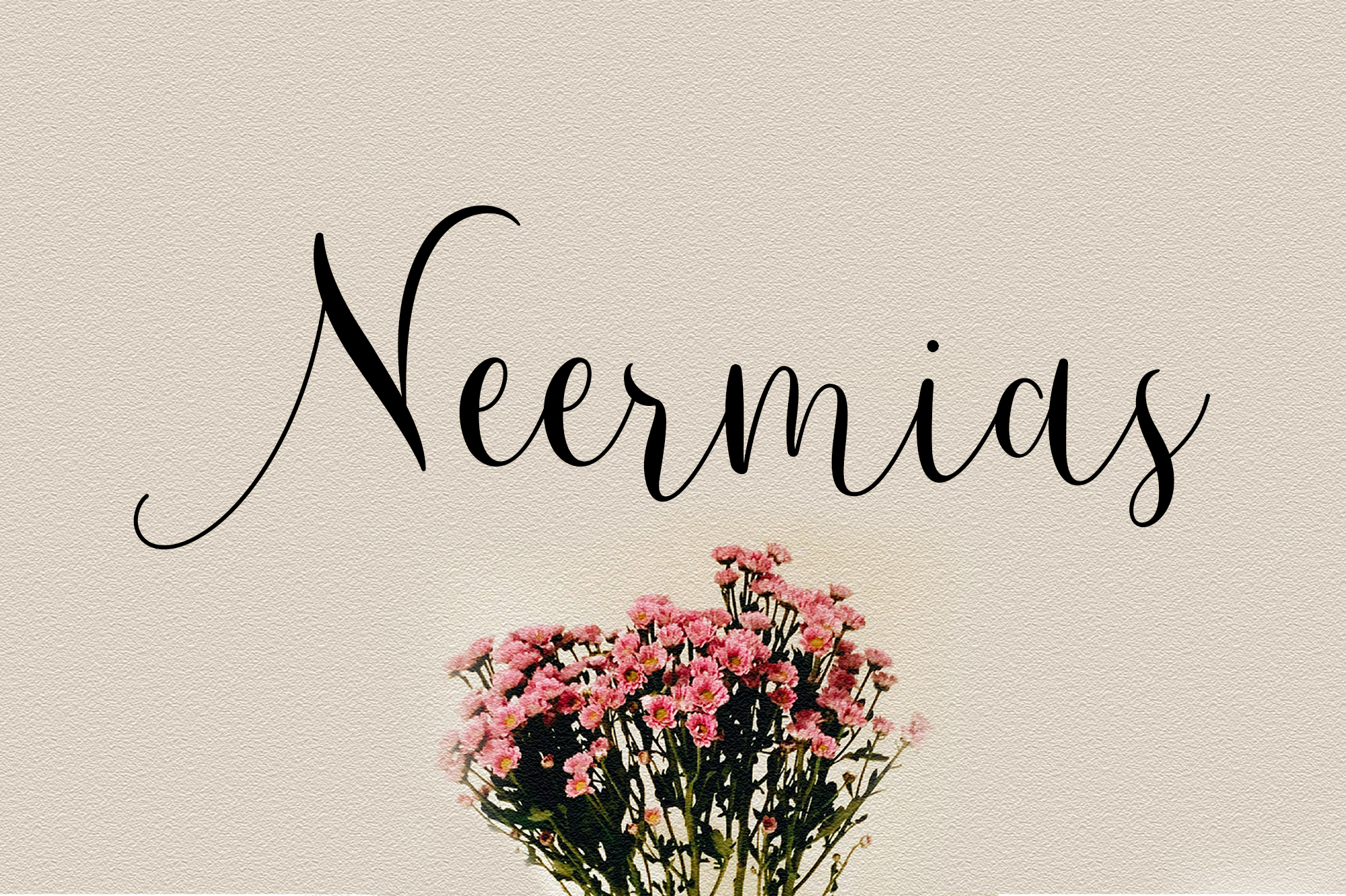 Demo Neermias script