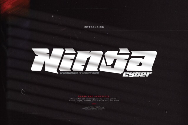 Ninja Cyber