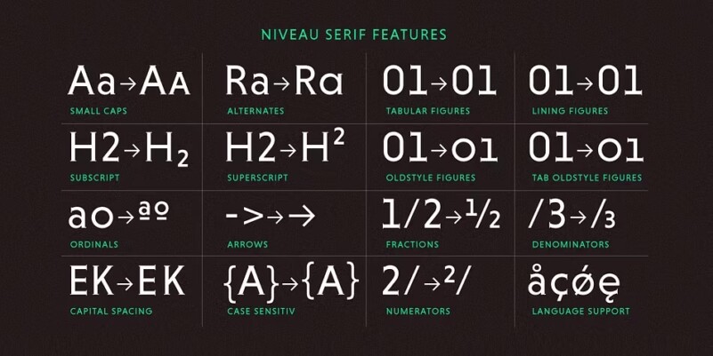 HvDTrial Niveau Serif