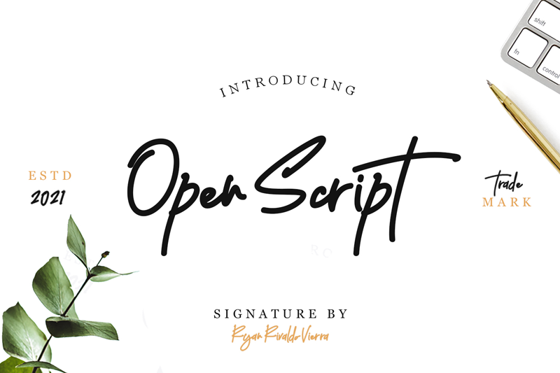 Open Script