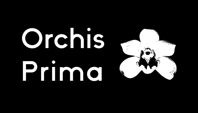 Orchis Prima