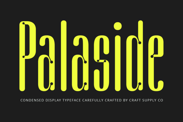 Palaside Demo