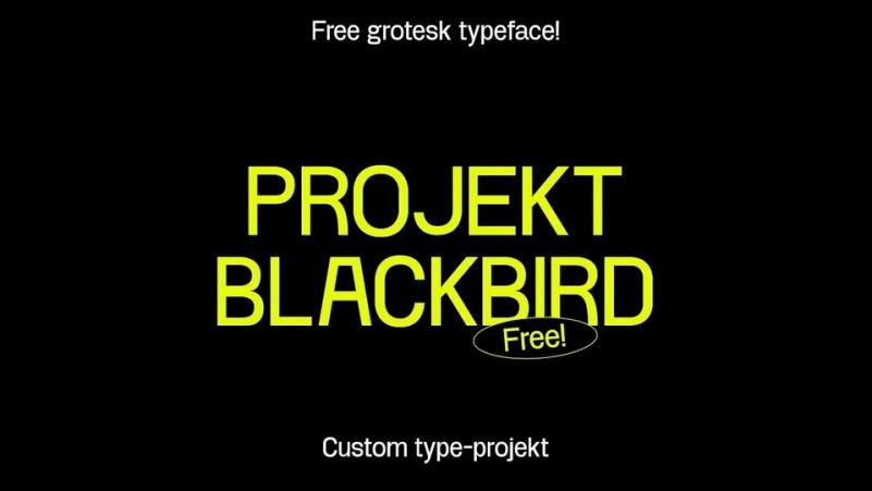 Projekt Blackbird
