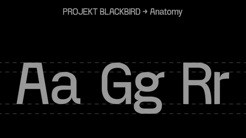 Projekt Blackbird